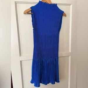NWT Beautiful pleated dress